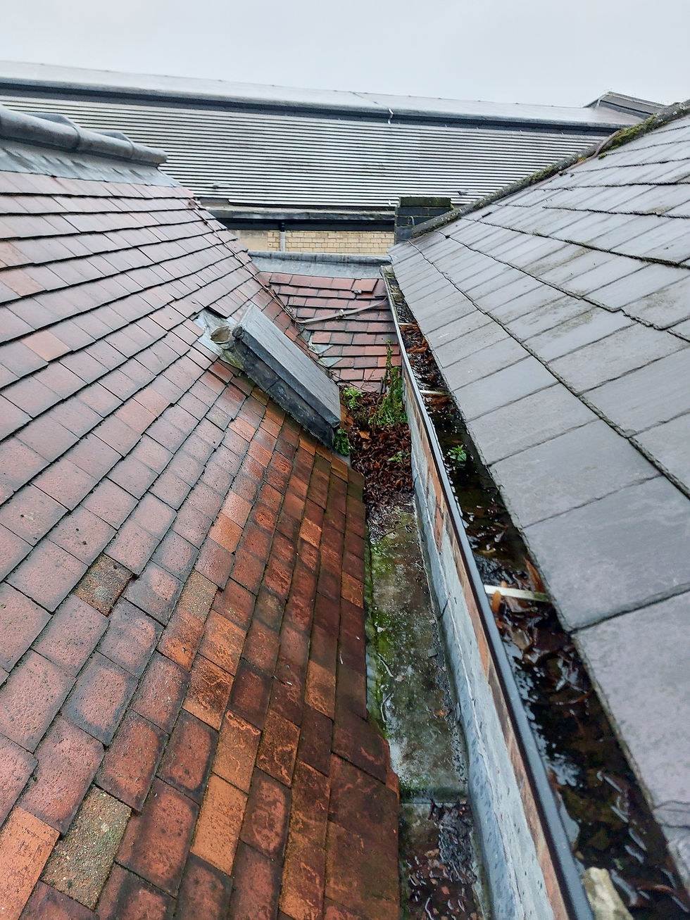 Original, damaged and overgrown lead gutters