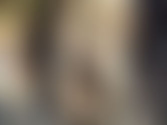 Curved Wall - Part 1.