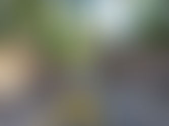 Curved Wall - Part 3.