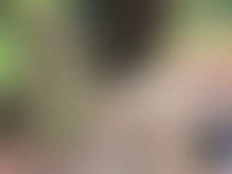 Stone Pillar Repairs - Part 2.