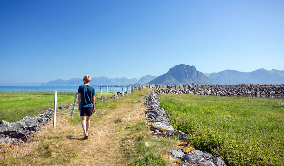 Villa Lofoten summer 3.jpg