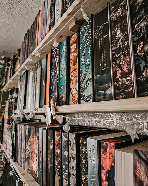 Bücherregal DIY