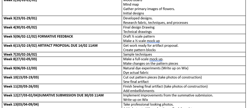 Skills Passport Plan of Action