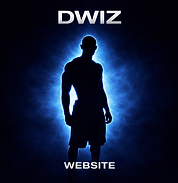 D WIZ WEBSITE.png