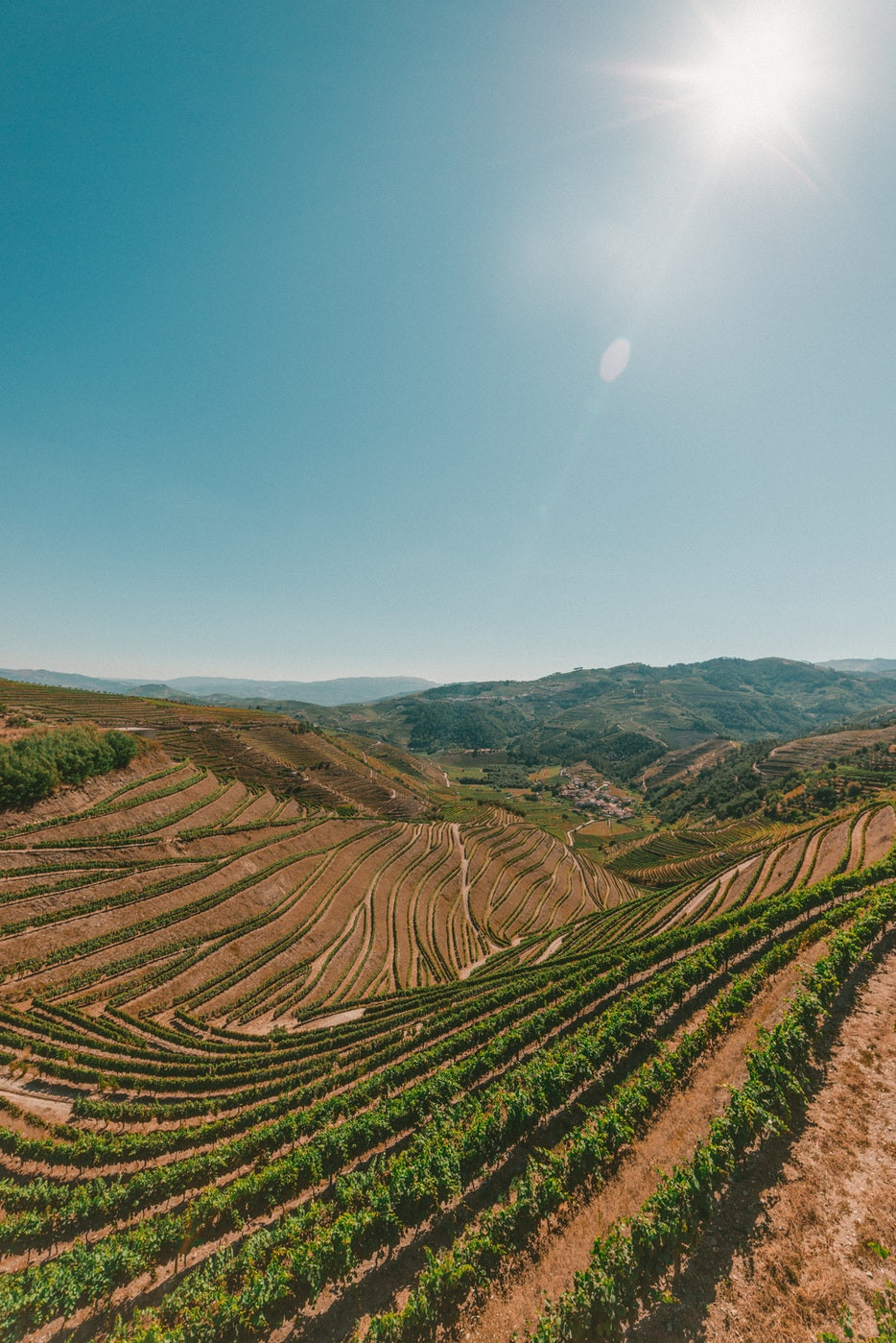 The complex system of vineyards in the Douro Wine Region