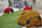Beautiful flower displays can be seen throughout the city.