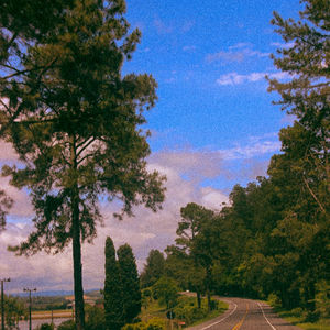 Fotografia de Paisagem — “Nostalgia Cinematográfica”