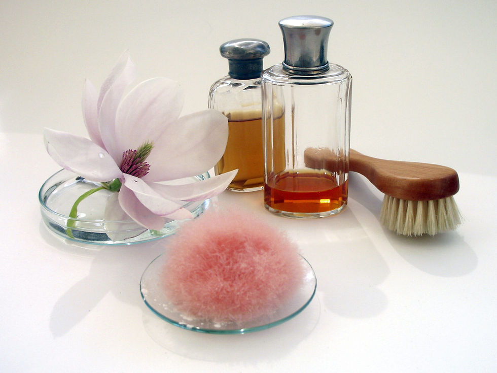Kosmetikprodukte mit Magnolienblute, Parfumflakons und Buerste