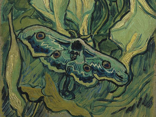 First, The Dissolving