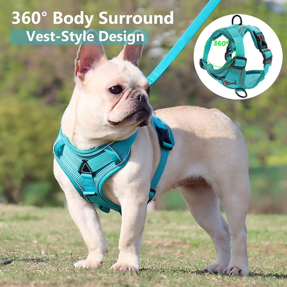 Thumbnail: Nylon Dog Harness and leash set Breathable No Pull Dog Harness Adjustable 