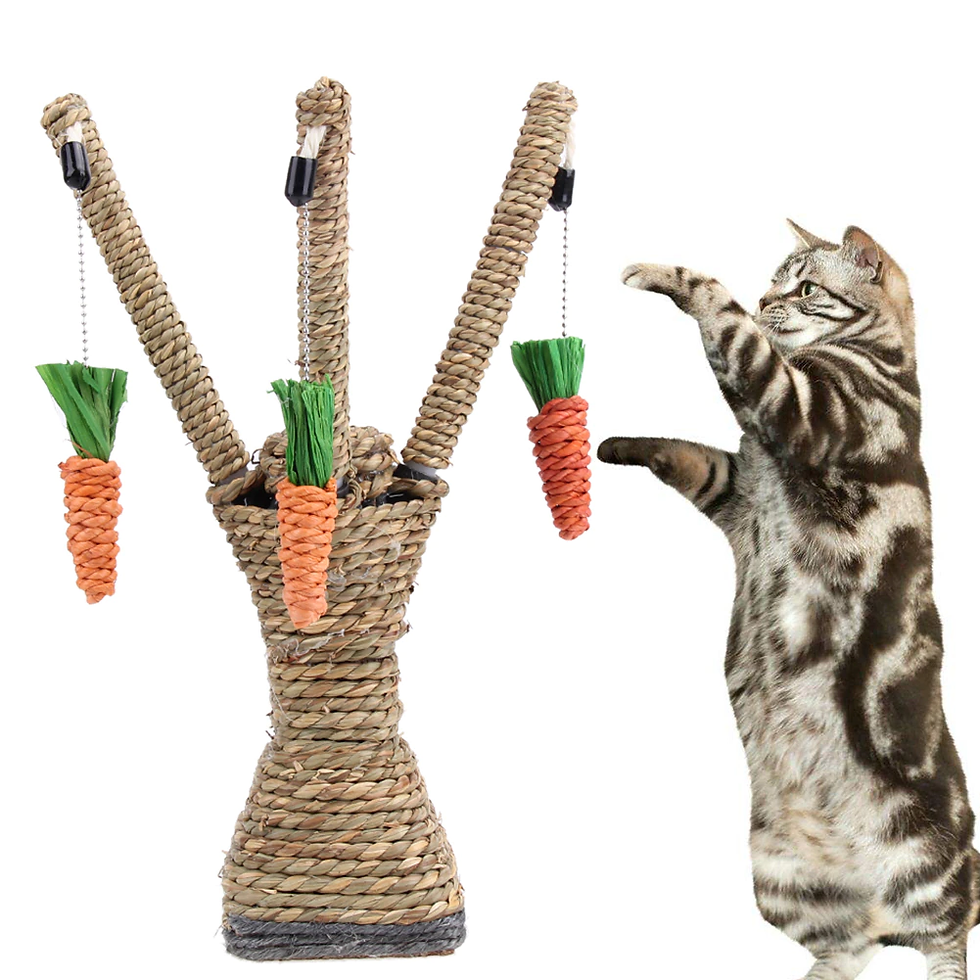 Thumbnail: Pet Cat Toys Interactive Tree Tower Shelves Climbing Frame