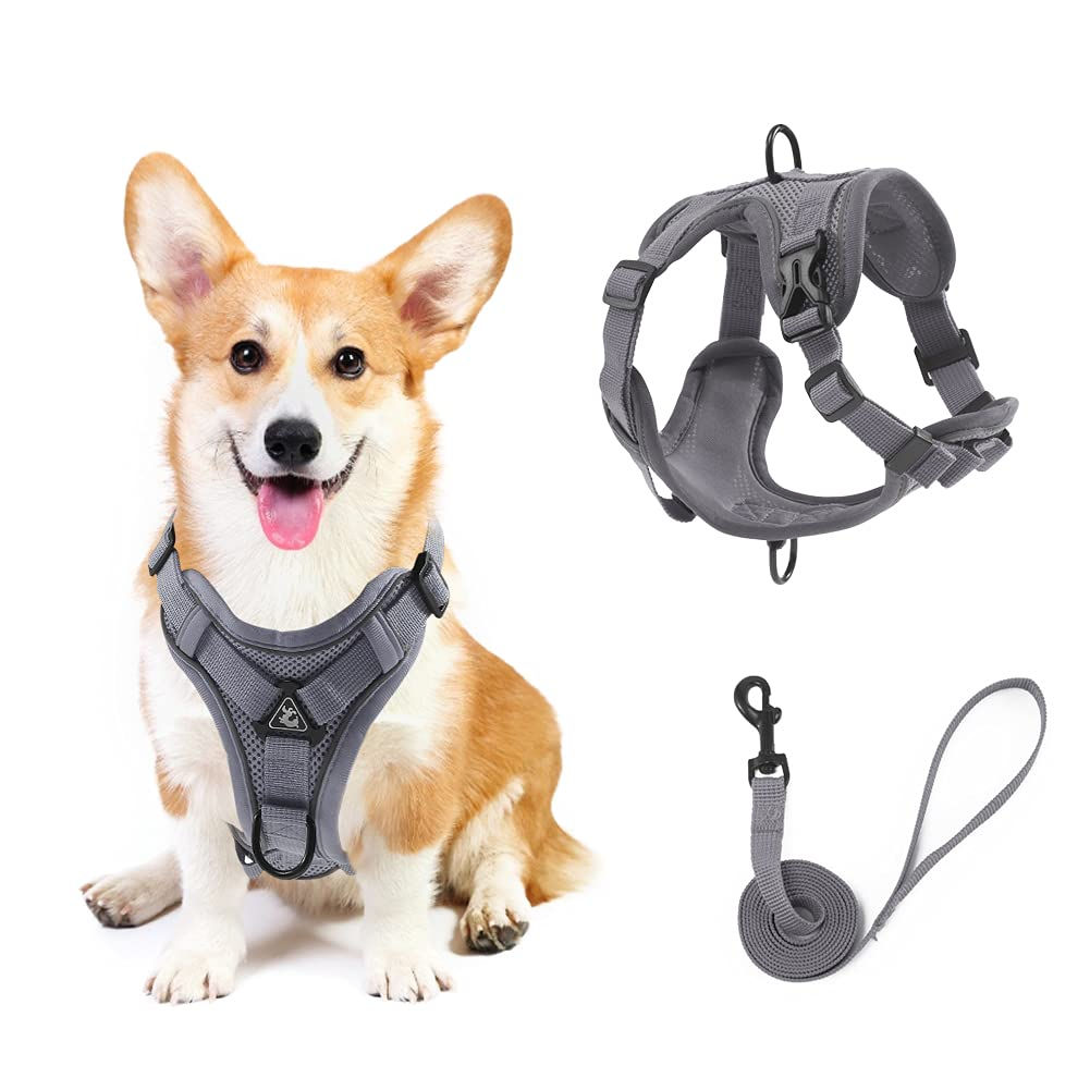 Nylon Dog Harness and leash set Breathable No Pull Dog Harness Adjustable 