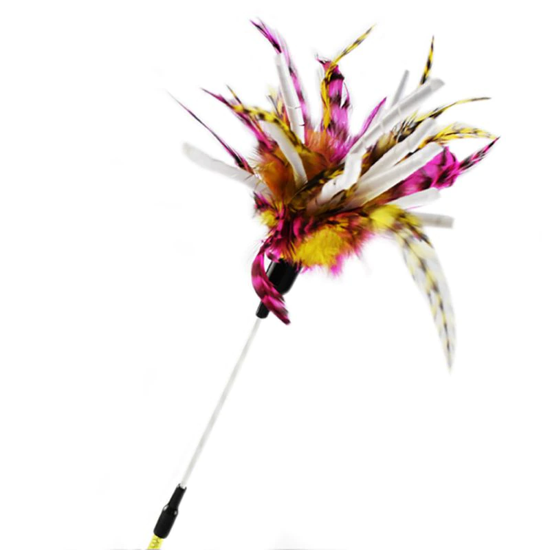 Thumbnail: Interactive Cat Toy Funny Simulation Feather Bird with Bell Cat Stick Toy