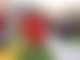 DMV Star of the Week - Roman Hemby