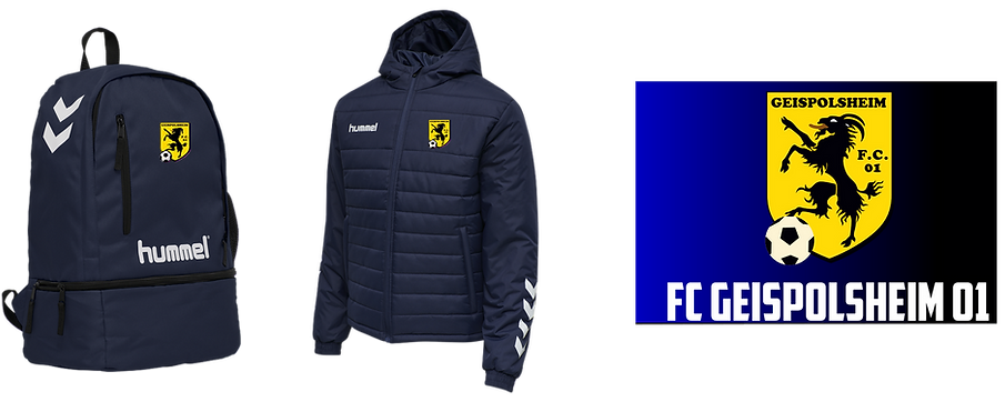 VESTE SAC.png