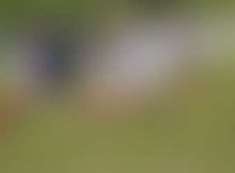 EX- VITÓRIA MARCA 3 GOLS E BAHIA COMEÇA BEM O CAMPEONATO BAIANO DE 2019.