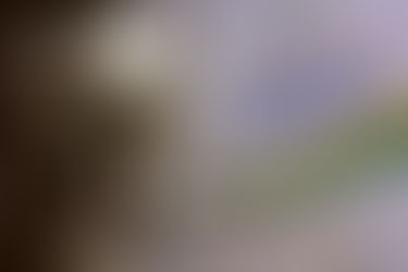 Estão definidos os jogos da quarta fase da Copa do Brasil