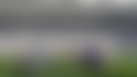 Dá-lhe recorde! Juventus e Fiorentina lotam a Allianz Arena!