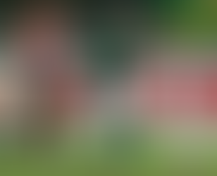 Palmeiras tem 100% de aproveitamento no Allianz Parque e vence o Choque-Rei