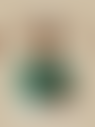 CEO's Favorites: Offering unique insights into the best of Portugal