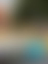 Flowers Festival Madeira