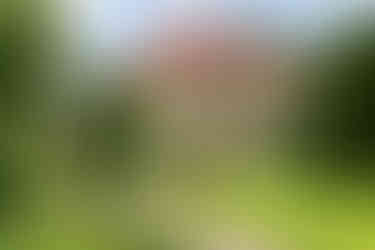 Gut Schloss mit einer Außenansicht der Fassade