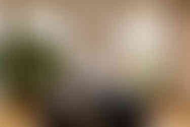 Brautpaar von hinten gesehen im Haupttrauzimmer des Standesamtes Reinickendorf. Von vorne kann man sehen, wie die Standesbeamtin ihre Rede hält, und der Tag draußen scheint sonnig zu sein