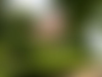 Foto der Fassade von Gut Schloss Golm