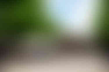 Außenansicht des historischen Blockhaus Nikolskoe im Waldgebiet Berlin Wannsee