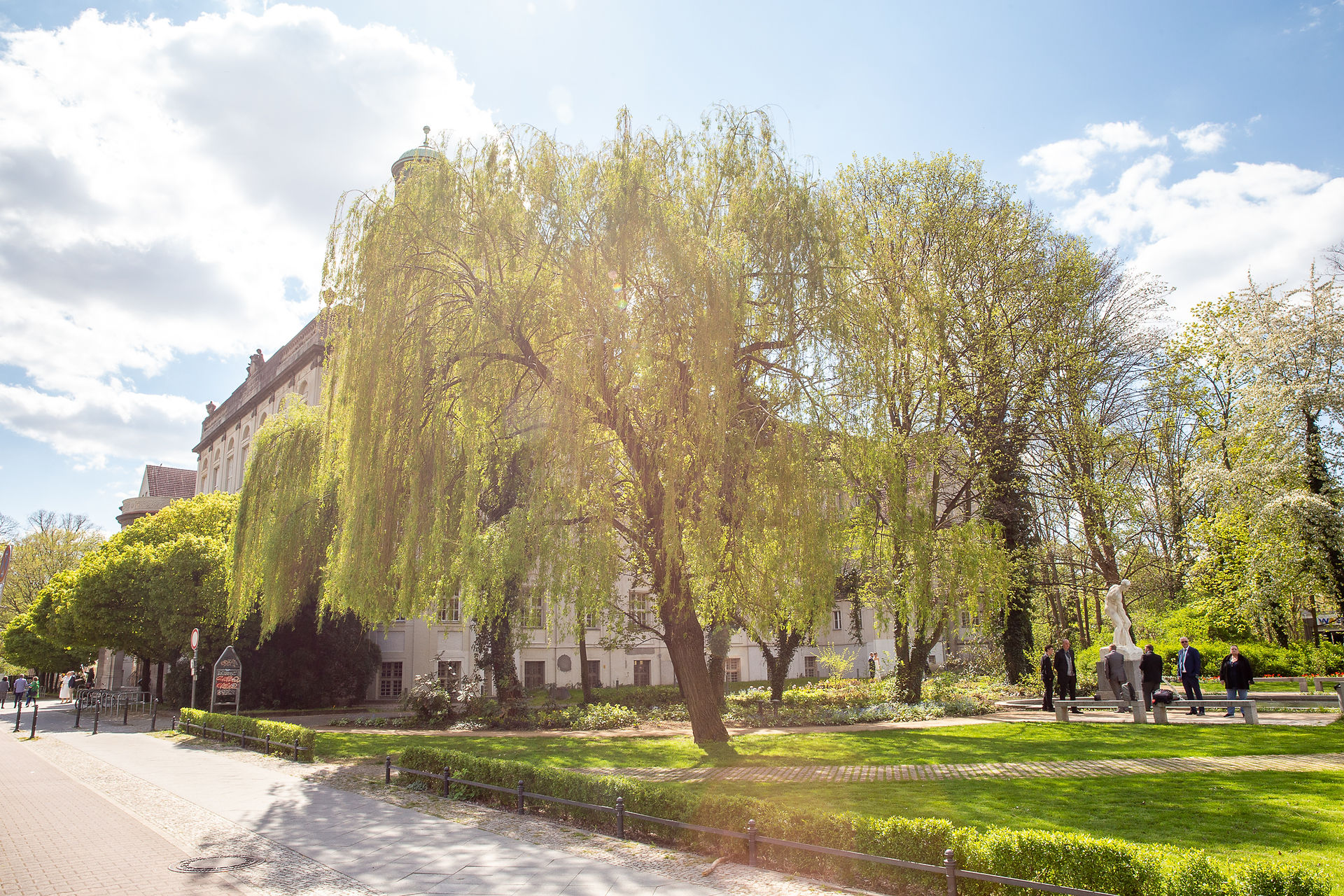 Foto eines Weges im Außengelände des Standesamtes Treptow Köpenick.