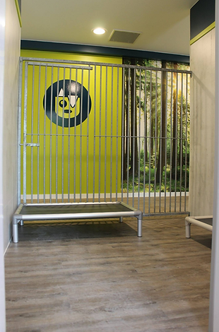 Dog Camp Hundehotell Vestfold Tønsberg_