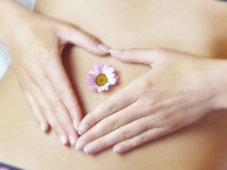 The Digestive System - How Well Do You Understand Yours?