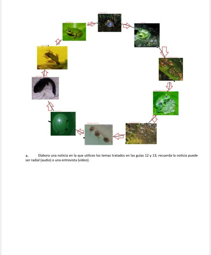 3 (7).jpeg