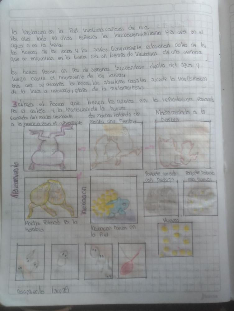 3 (6).jpeg