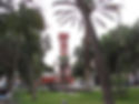 Vicuña