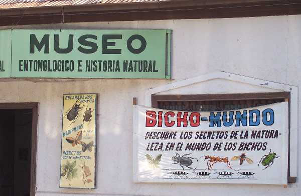 Museo Entomológico
