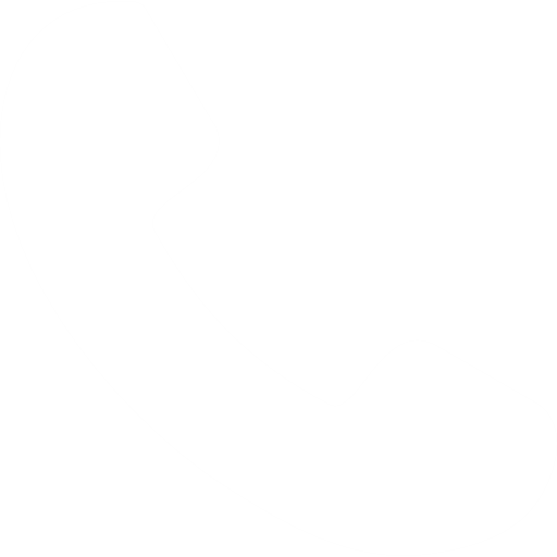 phone-call-white-icon.png