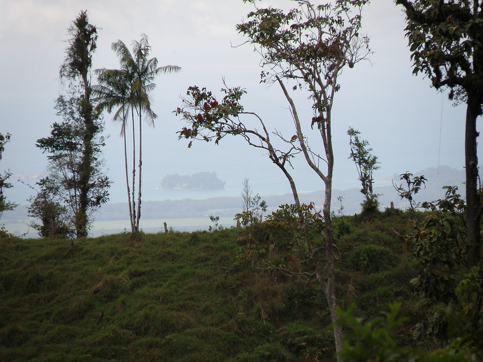 Ruta Sukia Wandelen in Costa Rica