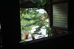 Bamboo House Attic Window View