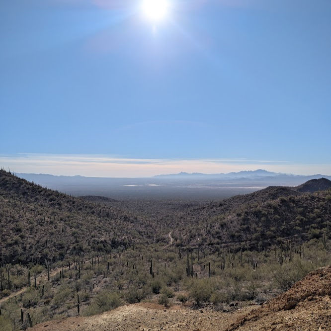 Sunlit desert landscape with cacti, rolling hills, and a clear blue sky. The sun shines brightly, creating a peaceful, vast scene.