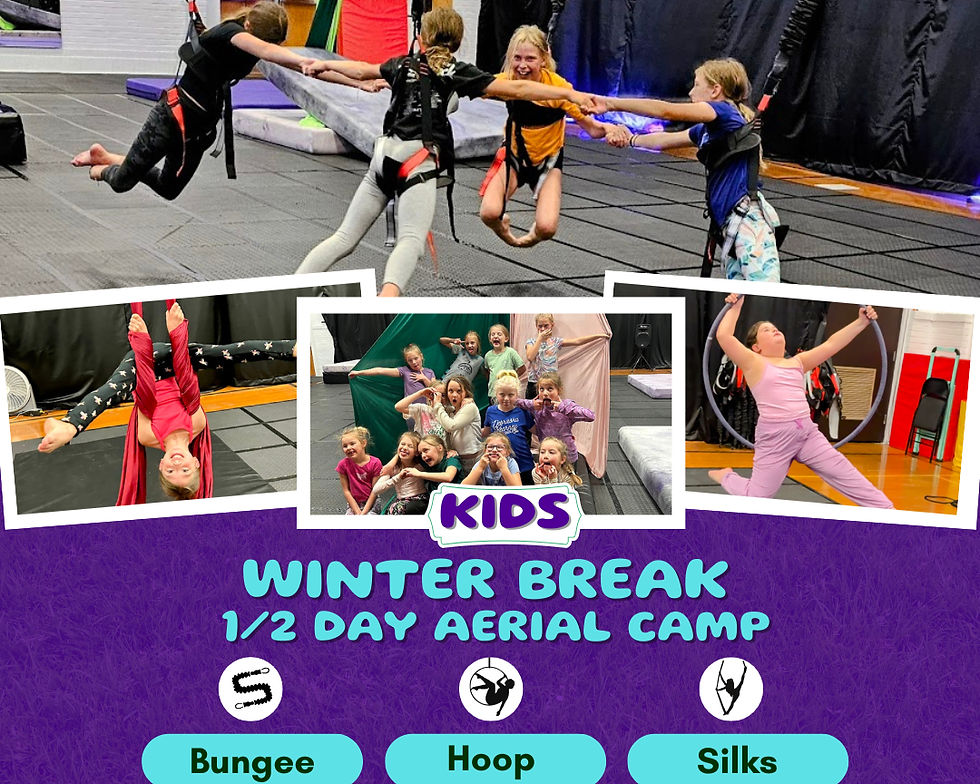 Winter Break Bounce & Fly Kid's 1/2 Day Camp (Ages 6-14)