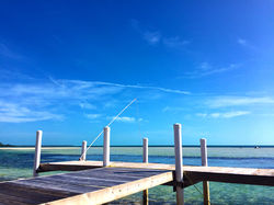 "Dock in Paradise"