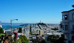 " I Made an Offer for the Room with