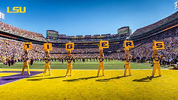 Louisiana State University (LSU)