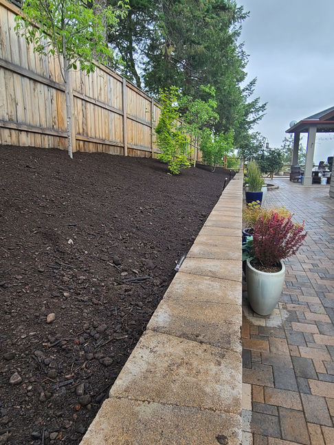 ready for planting.jpg