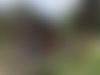 Výlet Klubu pohádkových čtecích babiček a dědečků do Skanzenu Přerov nad Labem