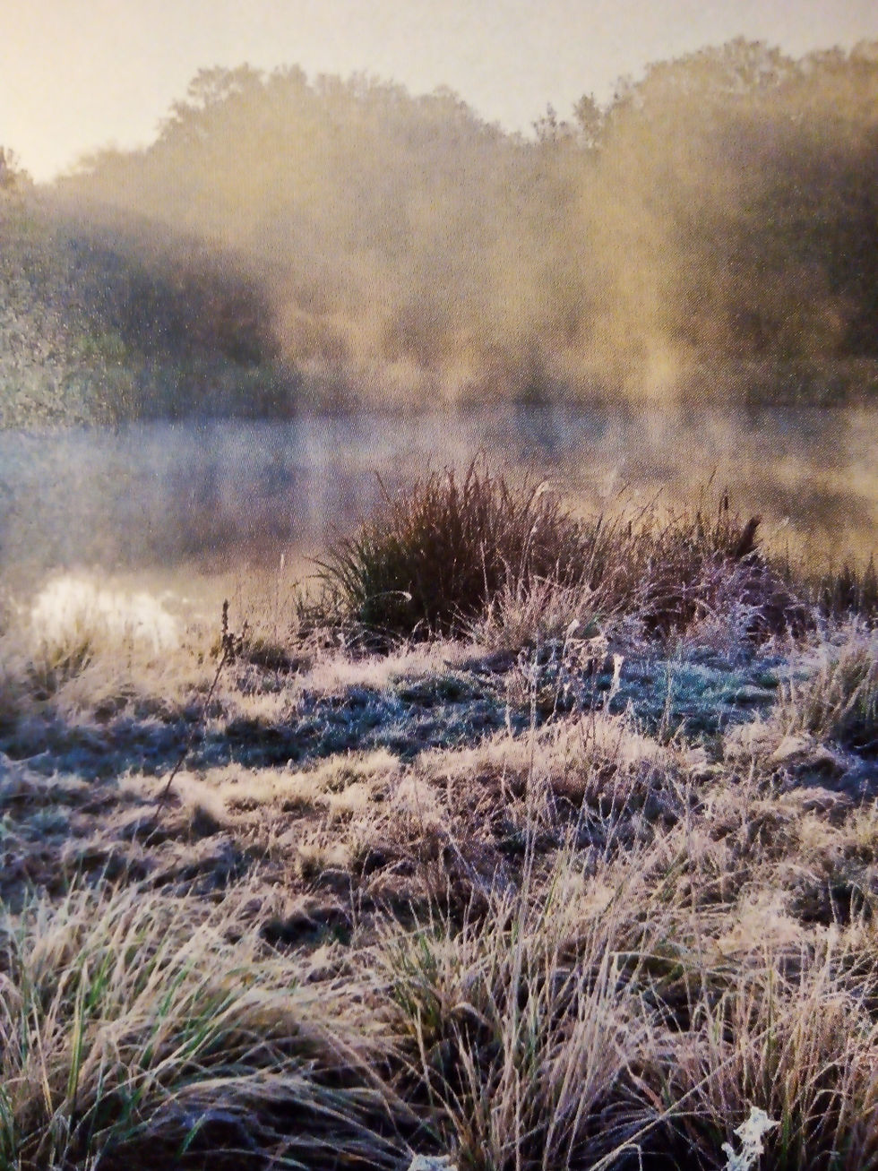 Program Mezigeneračního komunitního centra MN - Únor