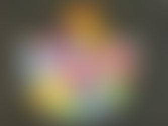 NEobyčejný rok - únor