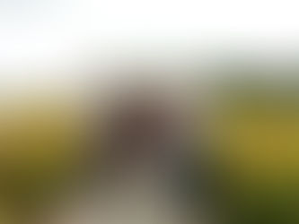 Prázdninový výlet do Botanické zahrady v pražské Tróji