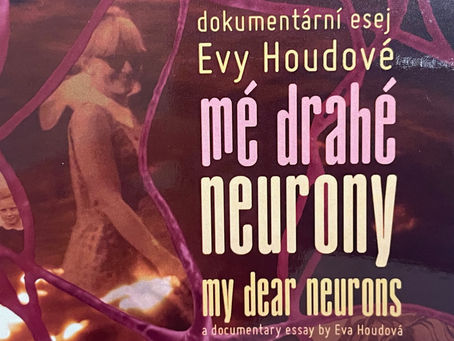 🎬 Srdečně vás zveme na výjimečný filmový zážitek 🎬